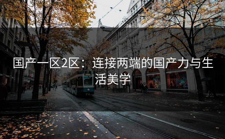 国产一区2区：连接两端的国产力与生活美学