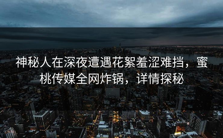 神秘人在深夜遭遇花絮羞涩难挡，蜜桃传媒全网炸锅，详情探秘